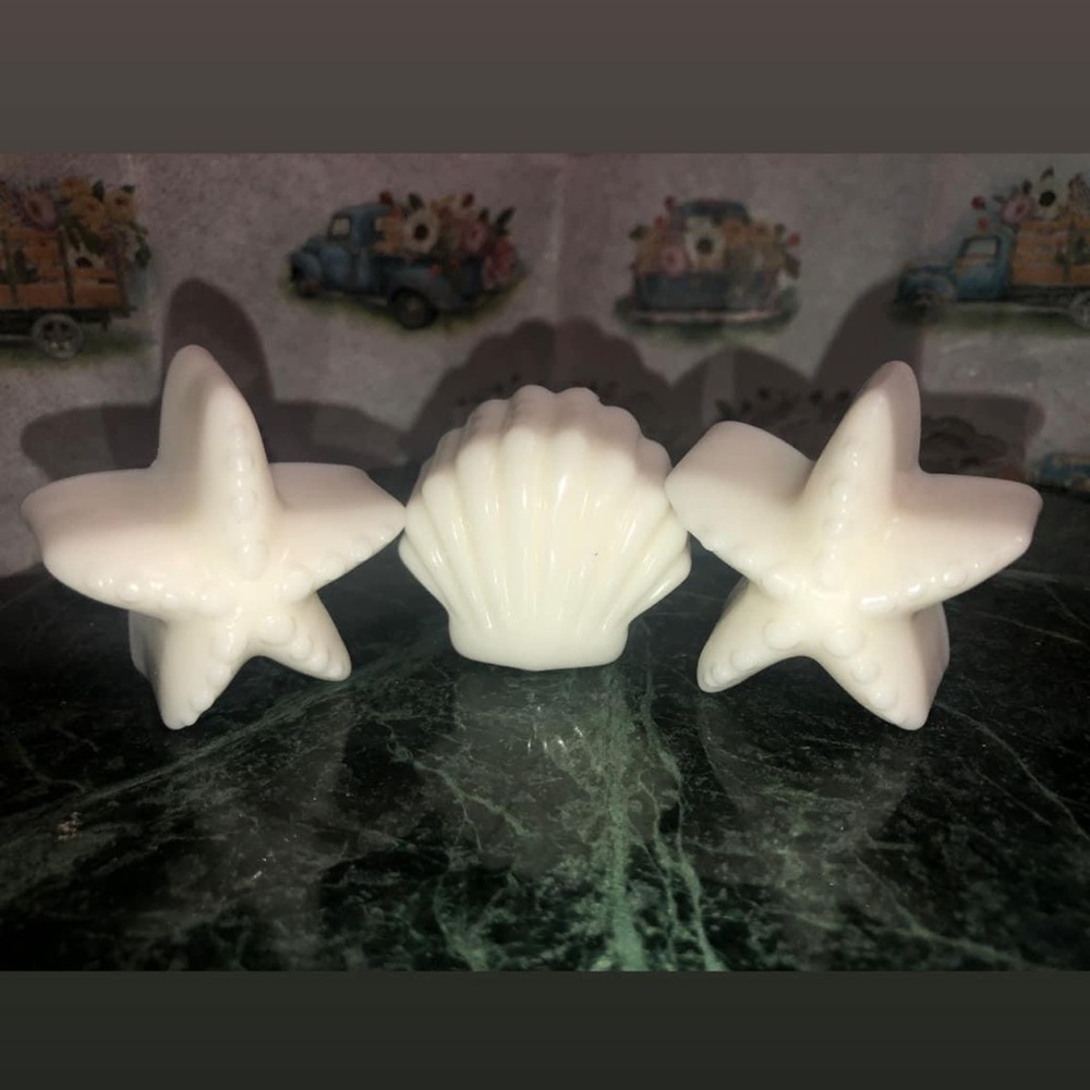 “Shell ya later” collection 🧼